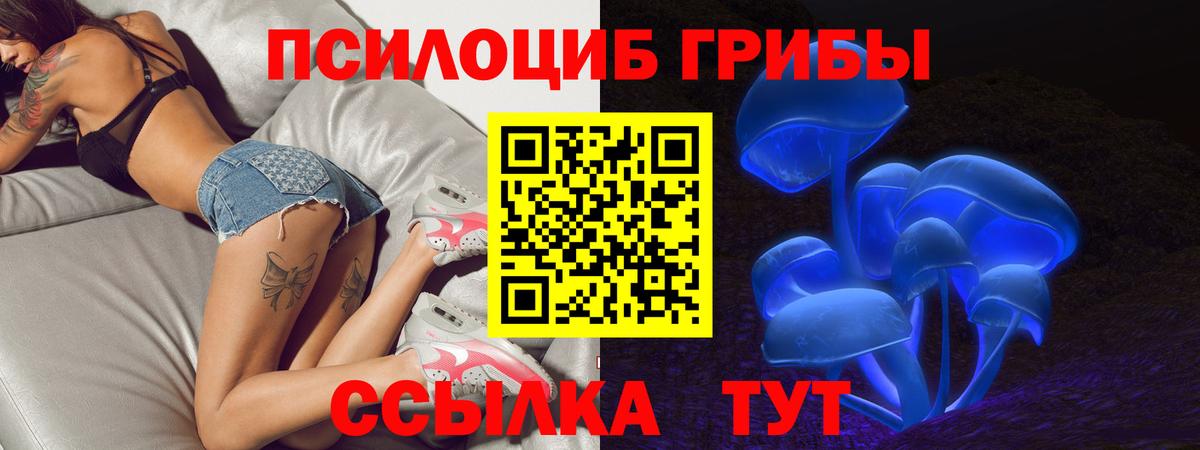 Галлюциногенные грибы Psilocybe  Вход с VPN  Воркута 
